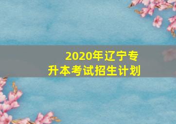 2020年辽宁专升本考试招生计划