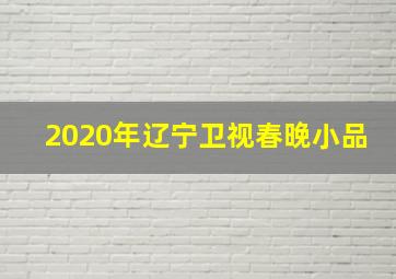 2020年辽宁卫视春晚小品