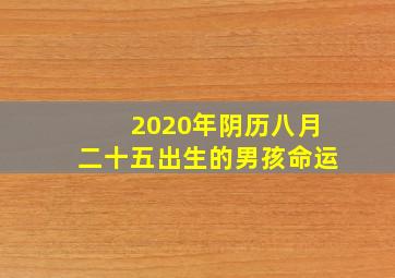 2020年阴历八月二十五出生的男孩命运