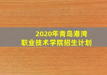 2020年青岛港湾职业技术学院招生计划