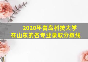 2020年青岛科技大学在山东的各专业录取分数线