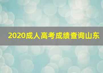 2020成人高考成绩查询山东