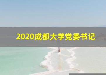 2020成都大学党委书记