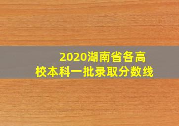 2020湖南省各高校本科一批录取分数线