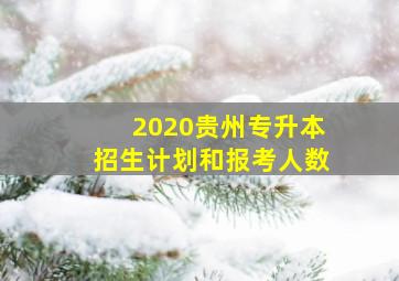 2020贵州专升本招生计划和报考人数