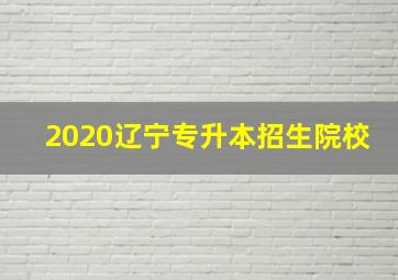 2020辽宁专升本招生院校