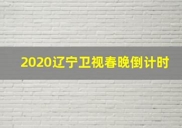 2020辽宁卫视春晚倒计时