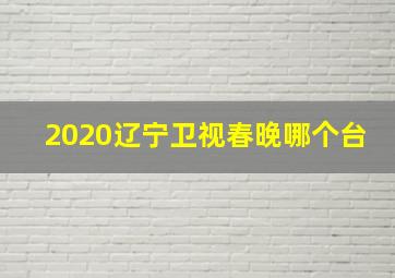 2020辽宁卫视春晚哪个台