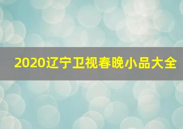 2020辽宁卫视春晚小品大全