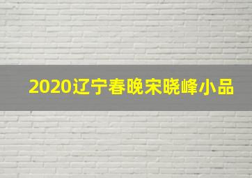 2020辽宁春晚宋晓峰小品