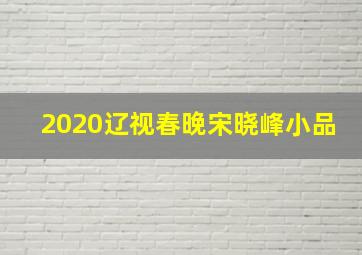 2020辽视春晚宋晓峰小品