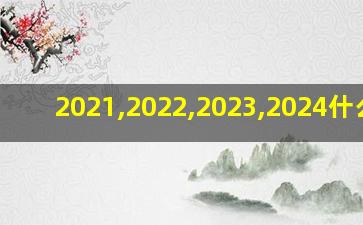 2021,2022,2023,2024什么年