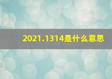 2021.1314是什么意思