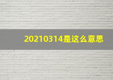 20210314是这么意思