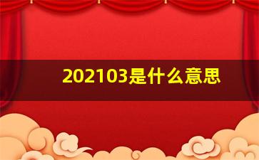 202103是什么意思