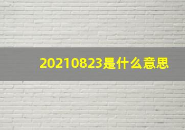 20210823是什么意思