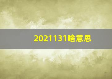 2021131啥意思