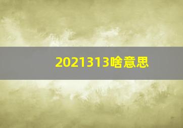 2021313啥意思