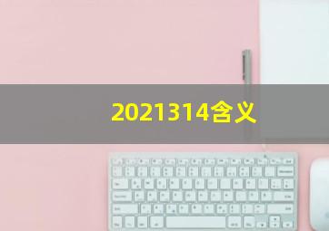 2021314含义