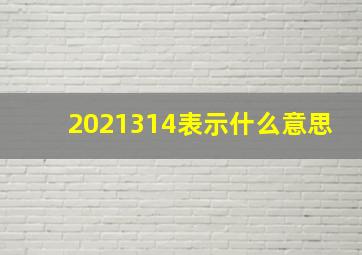 2021314表示什么意思