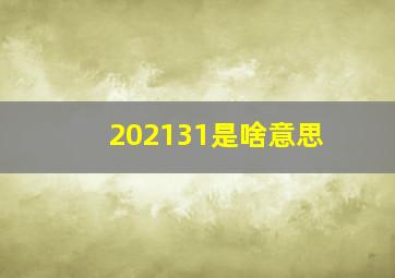 202131是啥意思