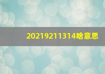 20219211314啥意思