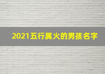 2021五行属火的男孩名字