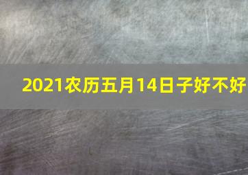 2021农历五月14日子好不好