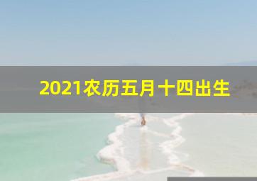 2021农历五月十四出生