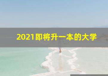 2021即将升一本的大学