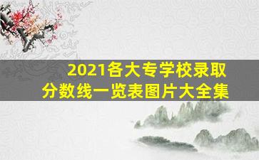 2021各大专学校录取分数线一览表图片大全集