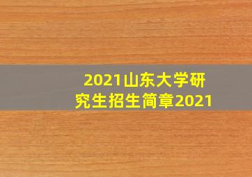 2021山东大学研究生招生简章2021