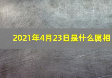 2021年4月23日是什么属相