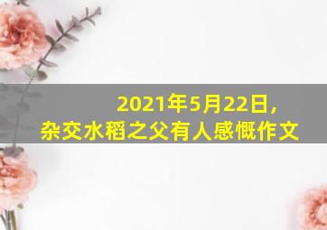 2021年5月22日,杂交水稻之父有人感慨作文