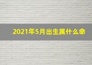 2021年5月出生属什么命