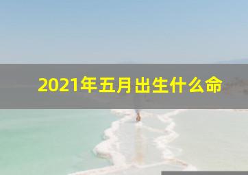 2021年五月出生什么命