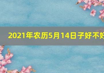 2021年农历5月14日子好不好