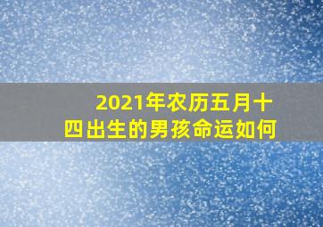 2021年农历五月十四出生的男孩命运如何