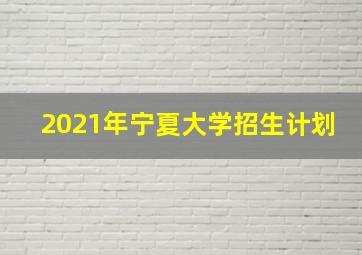 2021年宁夏大学招生计划