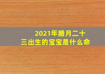 2021年腊月二十三出生的宝宝是什么命