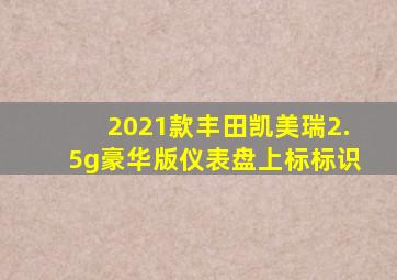 2021款丰田凯美瑞2.5g豪华版仪表盘上标标识