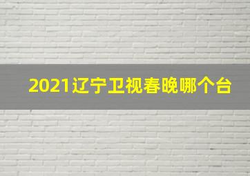 2021辽宁卫视春晚哪个台