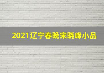 2021辽宁春晚宋晓峰小品