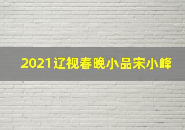 2021辽视春晚小品宋小峰