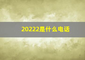 20222是什么电话