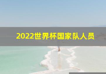 2022世界杯国家队人员