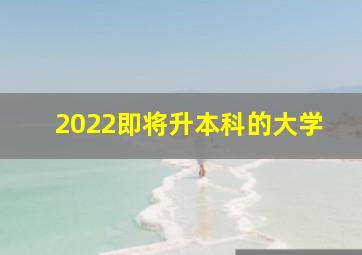 2022即将升本科的大学