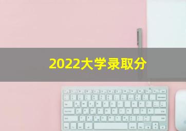 2022大学录取分