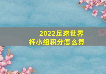 2022足球世界杯小组积分怎么算