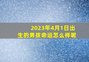 2023年4月1日出生的男孩命运怎么样呢